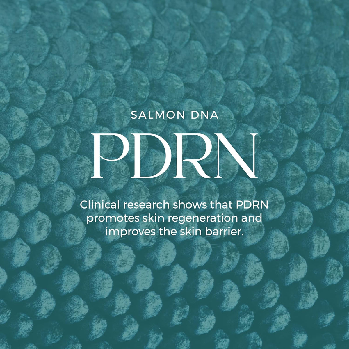 Salmon DNA Glass Skin Serum - Hydrating Korean Skincare Face Serum with PDRN, Niacinamide & Centella Asiatica | Brightening, Dry Skin, Anti-Aging, Dark Spots & Wrinkles | 30ml