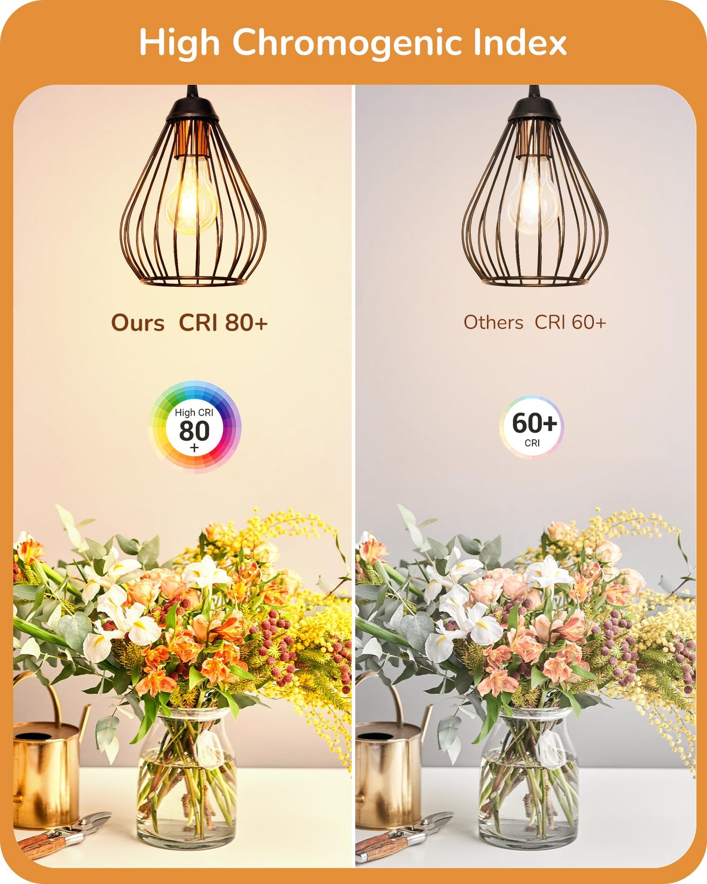EDISHINE Vintage LED Edison Bulbs 8W, 60W Equivalent, 2200K Amber Warm Light, ST58 Antique Edison Light Bulb with 80+ CRI, A19 Dimmable LED Bulbs, 700LM, E26 Medium Base, 6 Pack