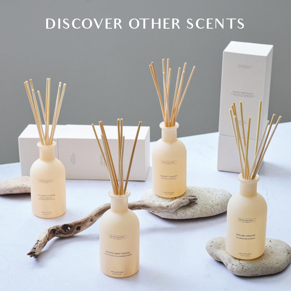 Benevolence LA Reed Diffuser for Home | Eucalyptus, Fig & Sandalwood | Elegant Home & Bathroom Decor | Fragrance Diffuser with Sticks for Bathroom - Malibu Sands Collection