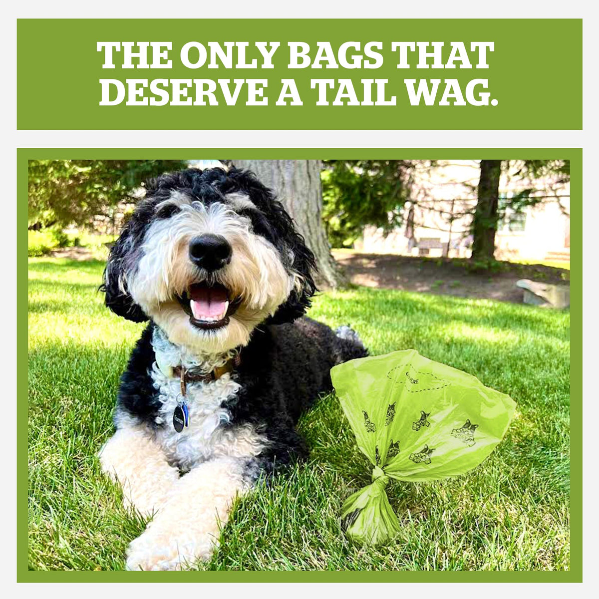 Pogi's Poop Bags – Large, Leak-Proof Dog Waste Bags for Yard or Home Use, Unscented (Single Roll, 500-Count)