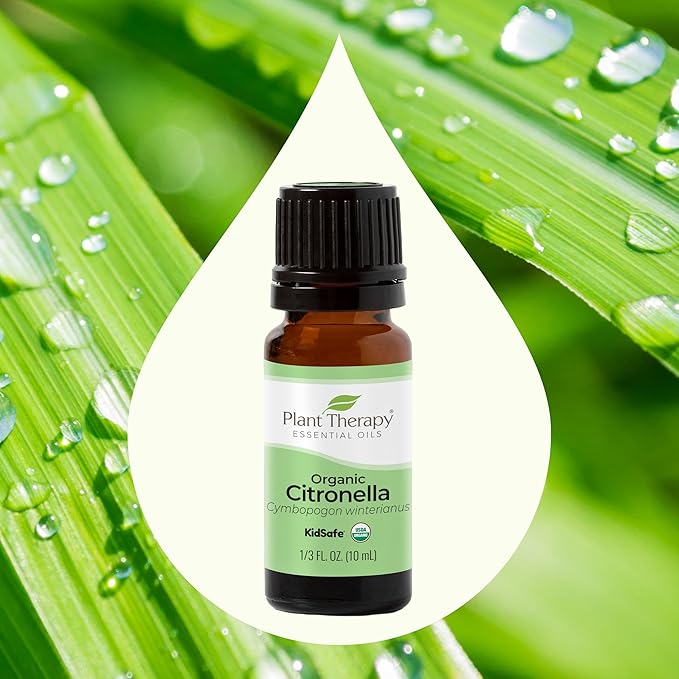 Plant Therapy Citronella Organic Essential Oil 100% Pure, USDA Certified Organic, Undiluted, Natural Aromatherapy, Therapeutic Grade 10 mL (1/3 oz)