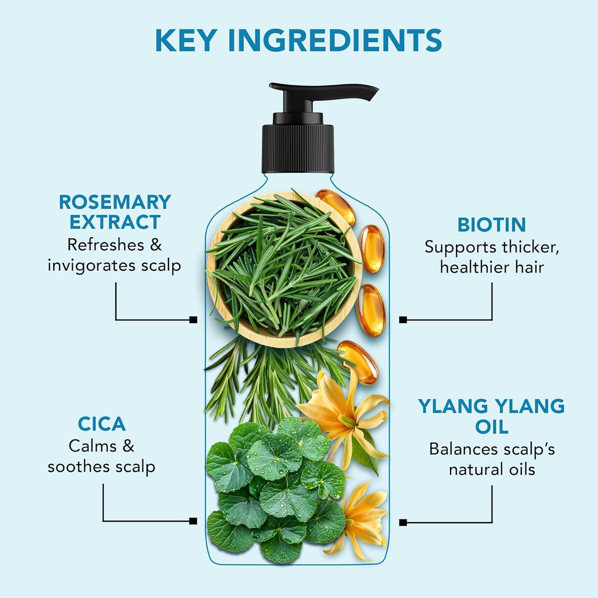 Botanic Hearth Rosemary Shampoo Infused With Cica, Ylang Ylang Oil & Biotin Oil – Clarifying Shampoo For Hair Volume, Growth & Strength | Paraben & Sulfate Free | For All Hair Types, 16 Fl Oz