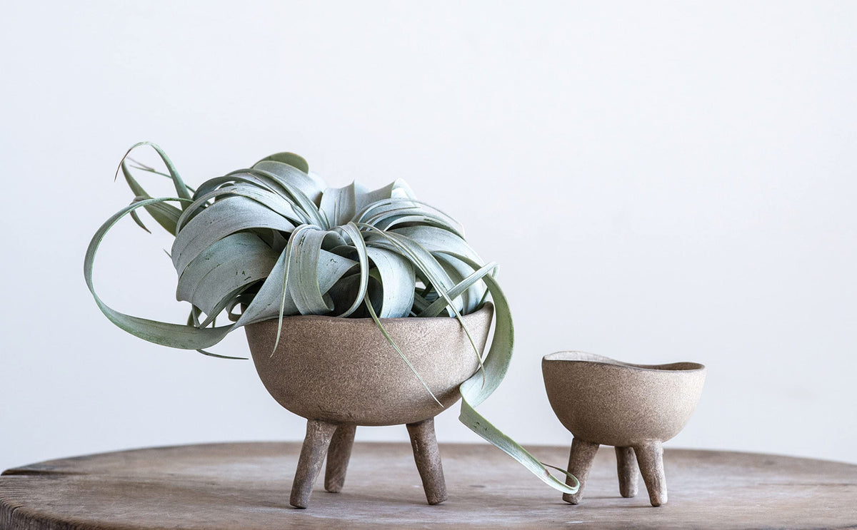 Creative Co-Op Boho Terracotta Footed Bowl with Organic Edge, Matte Taupe