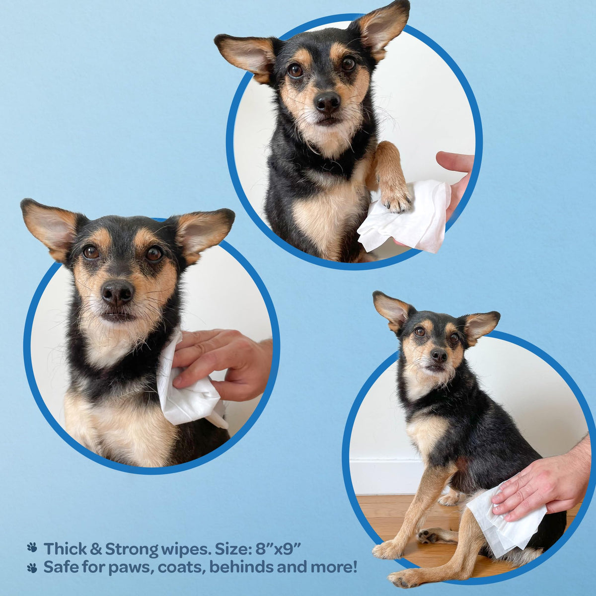 Best Pet Supplies Pet Wipes for Dogs - Dog Wipes Cleaning Deodorizing, for Coats, Ears, Paws - Moisturizing, Coconut, 100 Count