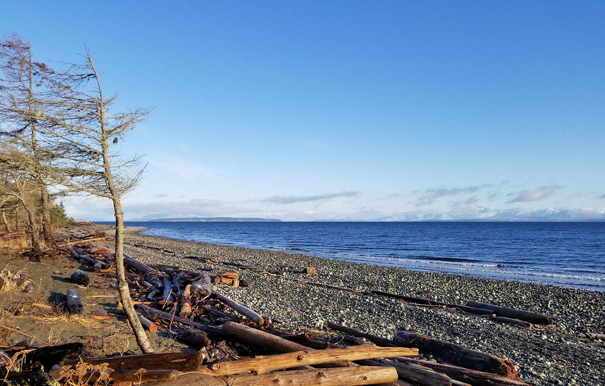Flaky Sea Salt - 8.8 oz of Large Flake Salt - Hand Harvested on Vancouver Island - Perfect for Seasoning, Baking, Cooking, and Finishing - All Natural Flaked Salt