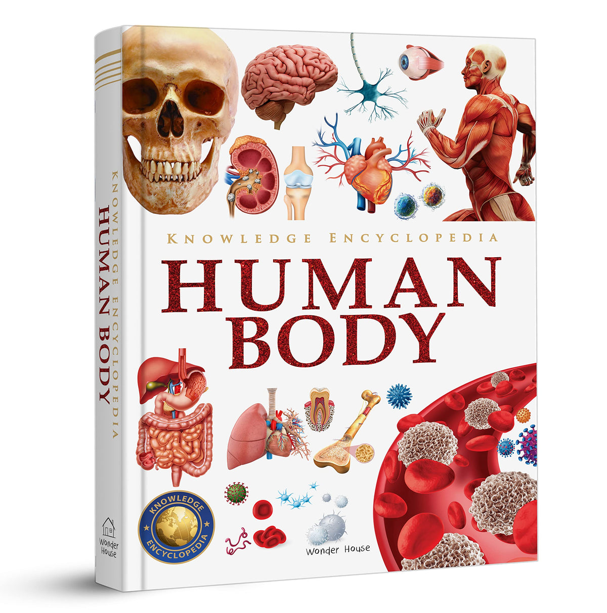 Knowledge Encyclopedia: Human Body (Knowledge Encyclopedia For Children)