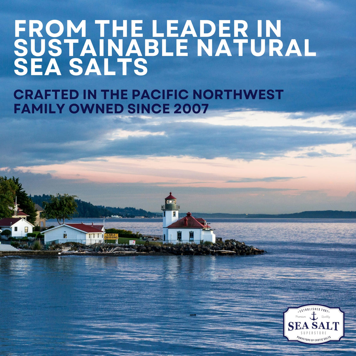 Fine Grain Sea Salt from Baja California, Replacement for Table Salt, Non-Iodized, All-Natural, No Additives (5 lb Bag)