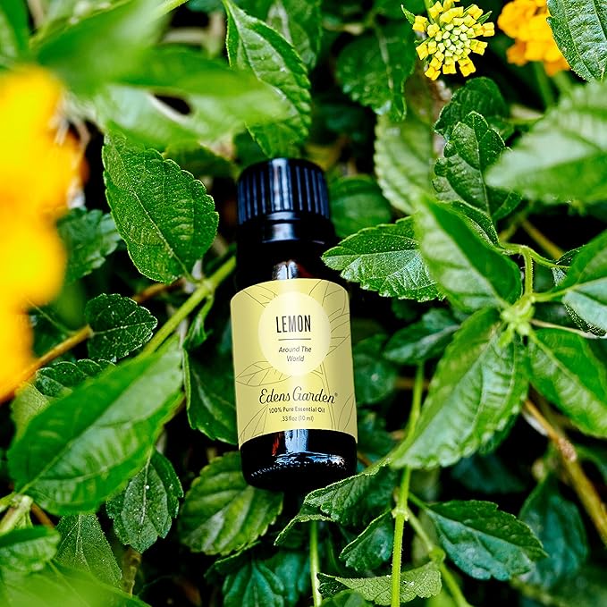Edens Garden Lemon Around The World Essential Oil- 100% Pure Premium Grade, Undiluted, Natural, Therapeutic, Aromatherapy, The Best for Diffuser, Candle, Laundry, Humidifiers 10 ml (.33 fl oz)