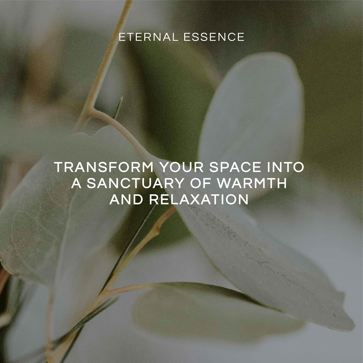 Eternal Essence Oils Citrus Set of 6 Premium Fragrance Oils - Lemon Grass, Blossom, Sugar, Lime, Grapefruit, and Pineapple - for Diffusers, Candle & Soap Making, & Aromatherapy - 10ML